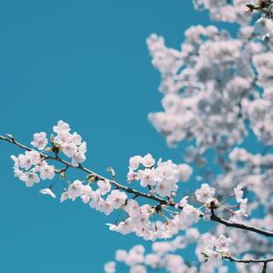 UMEMARO3D最新更新内容列表
